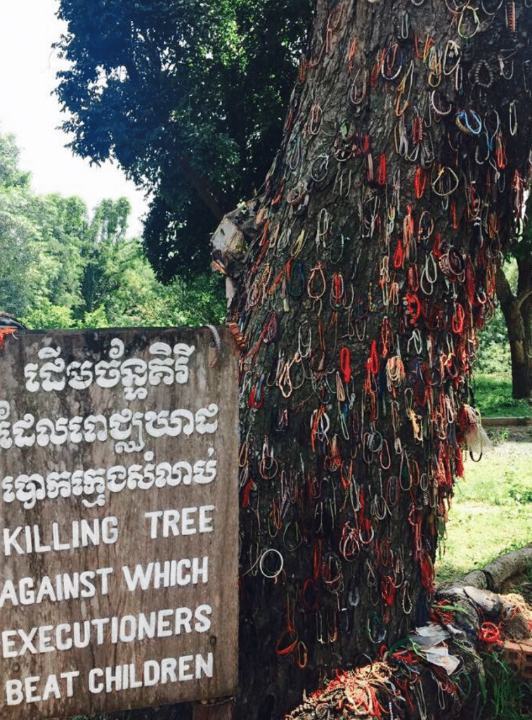 Go With Gabbs Killing Tree Cambodia