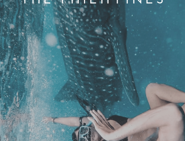 Swimming with Whalesharks