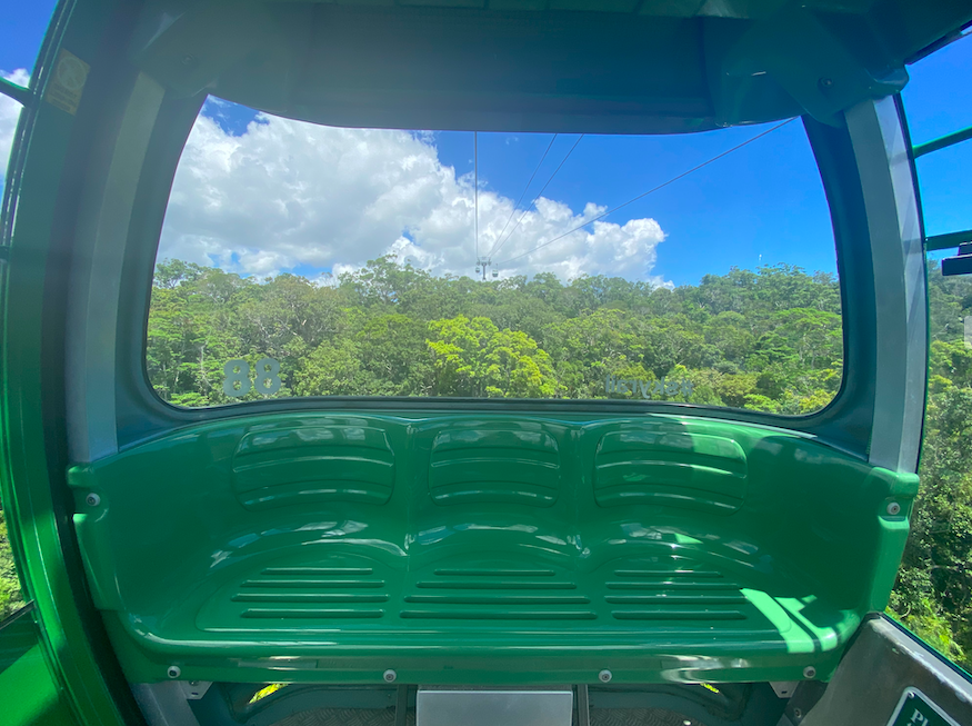 Green gondola Cairns Skyrail